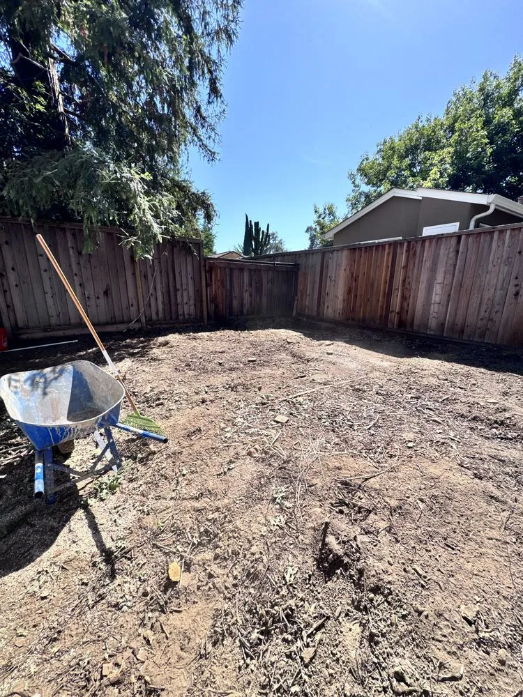 Local landscaping services for year-round maintenance in Fresno, CA by PT Gardening and Landscape