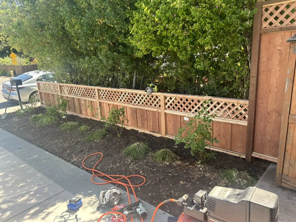 Affordable yard cleanup service for residential properties in Fresno, CA by PT Gardening and Landscape