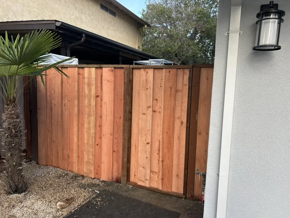 Expert lawn care service for year-round maintenance in Fresno, CA by PT Gardening and Landscape