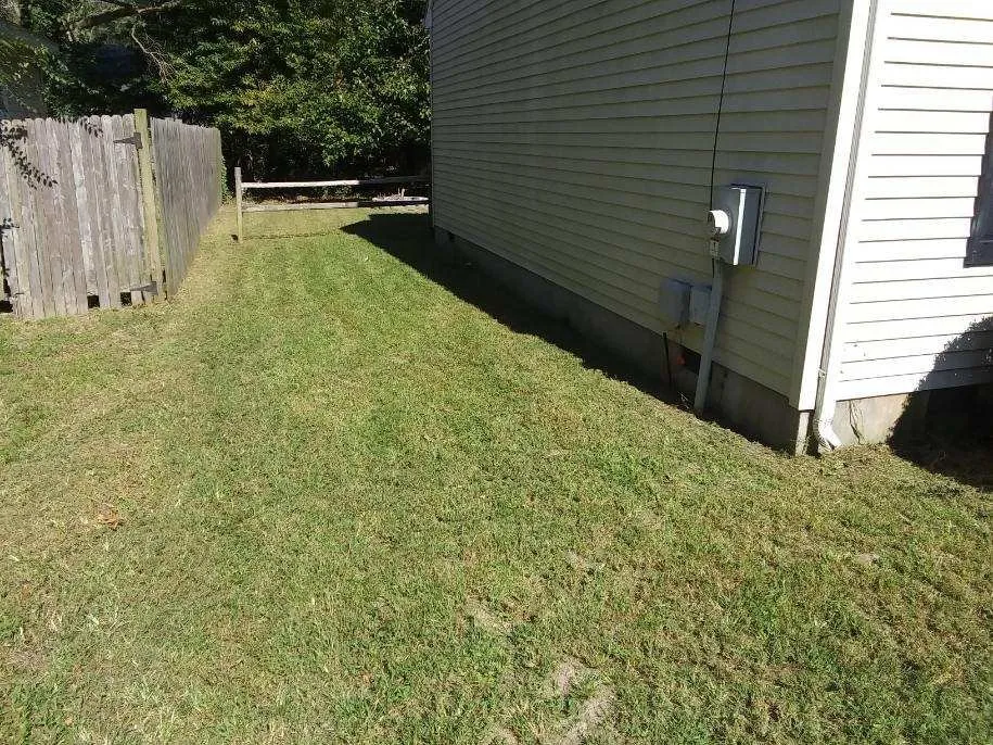 Expert yard maintenance near you in Delmar, MD by PTA Cleaning Service