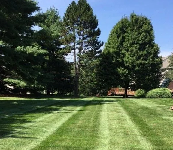 Local outdoor landscaping for homes in Bridgewater, NJ by PTB Landscape Management
