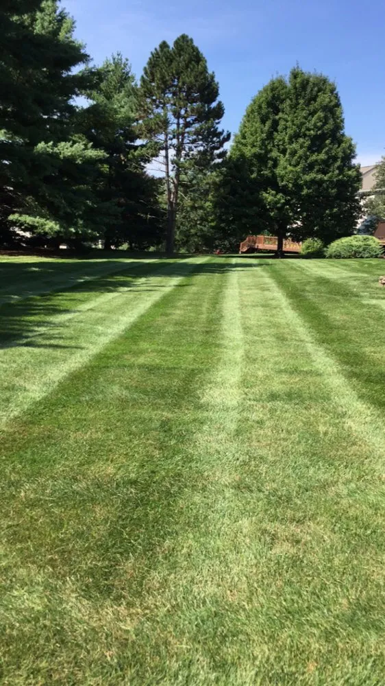 Trusted yard cleanup service in Bridgewater, NJ by PTB Landscape Management