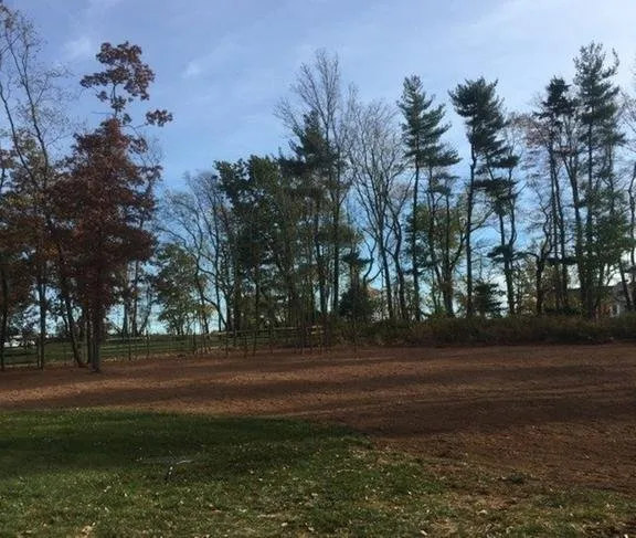 Reliable garden landscaping for homes in Bridgewater, NJ by PTB Landscape Management