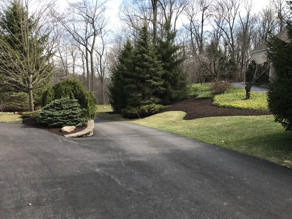 Professional yard cleanup service in Bridgewater, NJ - PTB Landscape Management