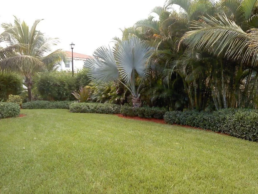 Top-rated lawn care service in Hobe Sound, FL - P.T.I. Pressure Washing & Landscaping, Inc.