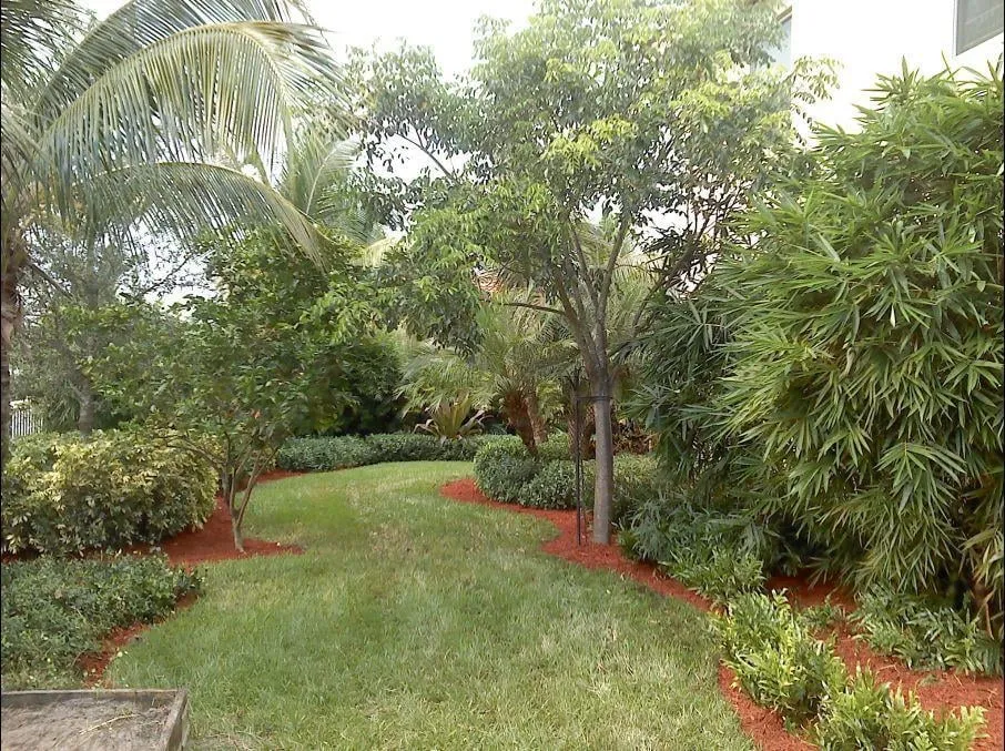 Custom outdoor landscaping experts serving Hobe Sound, FL - P.T.I. Pressure Washing & Landscaping, Inc.