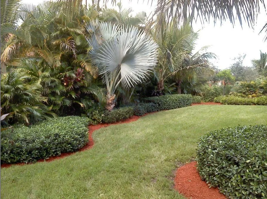 Local landscape design for homes in Hobe Sound, FL by P.T.I. Pressure Washing & Landscaping, Inc.
