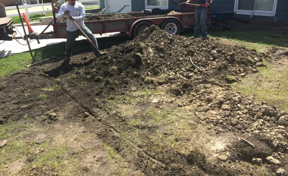 Affordable landscape installation in Addison, IL by PTL Landscsaping & Maintenance