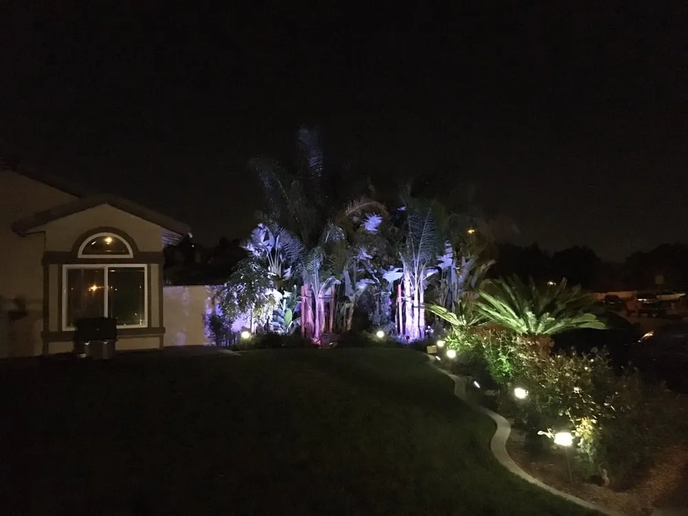 Trusted yard cleanup service in Riverside, CA by Ptlandscape