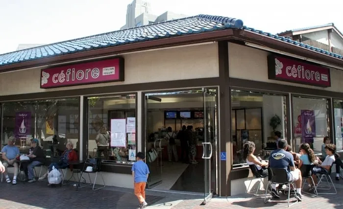 Top-rated yard cleanup service for beautiful yards across Riverside, CA - Ptlandscape