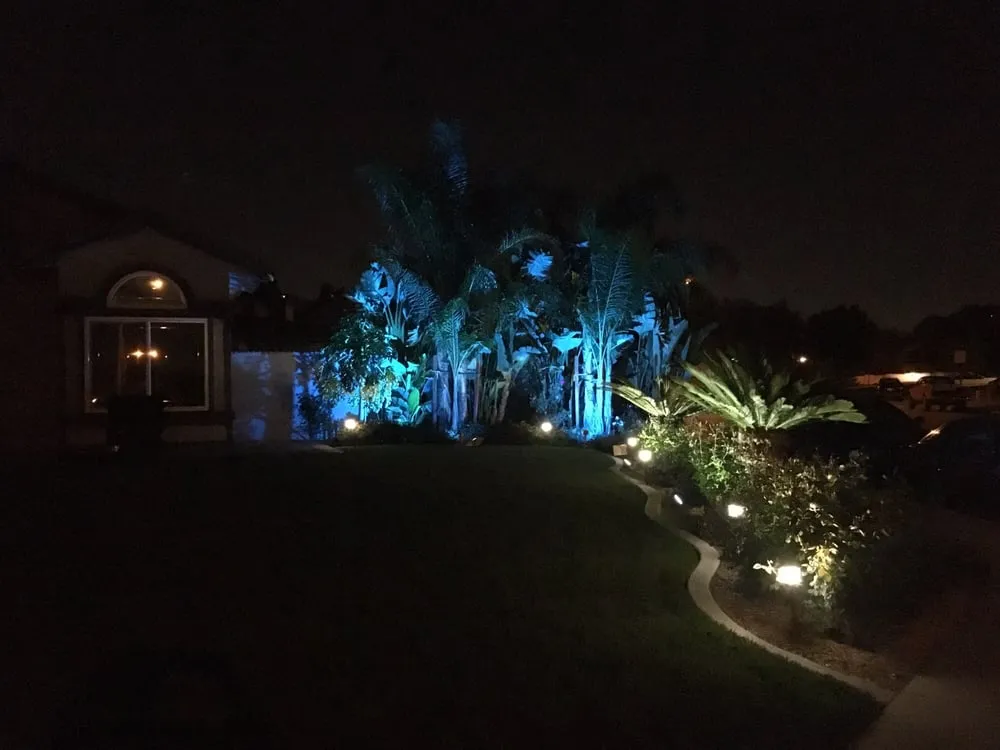 Reliable yard cleanup service in Riverside, CA - Ptlandscape