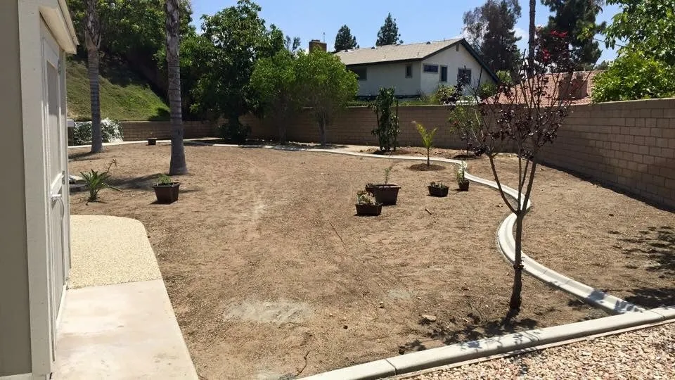 Local yard cleanup service in Riverside, CA by Ptlandscape