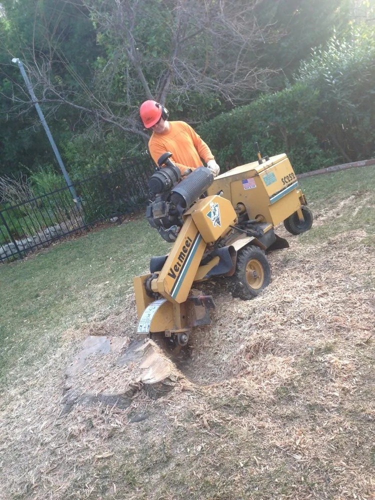 Custom yard maintenance experts serving Thousand Oaks, CA - PTS Tree Service