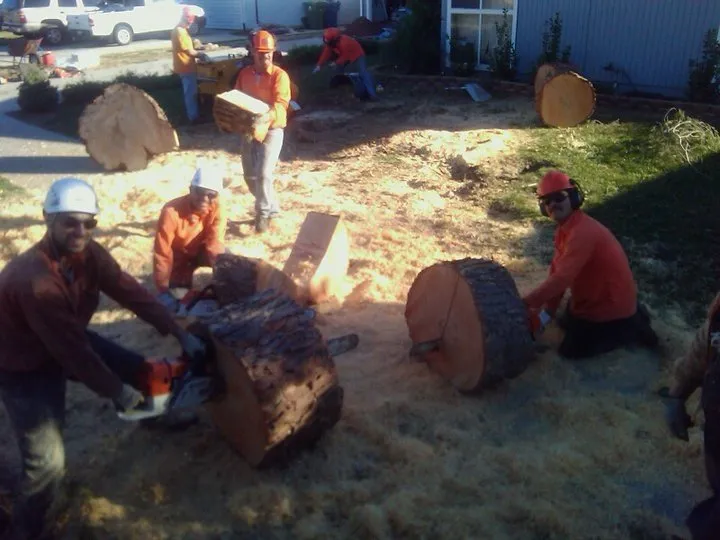 Trusted lawn mowing service in Thousand Oaks, CA - PTS Tree Service