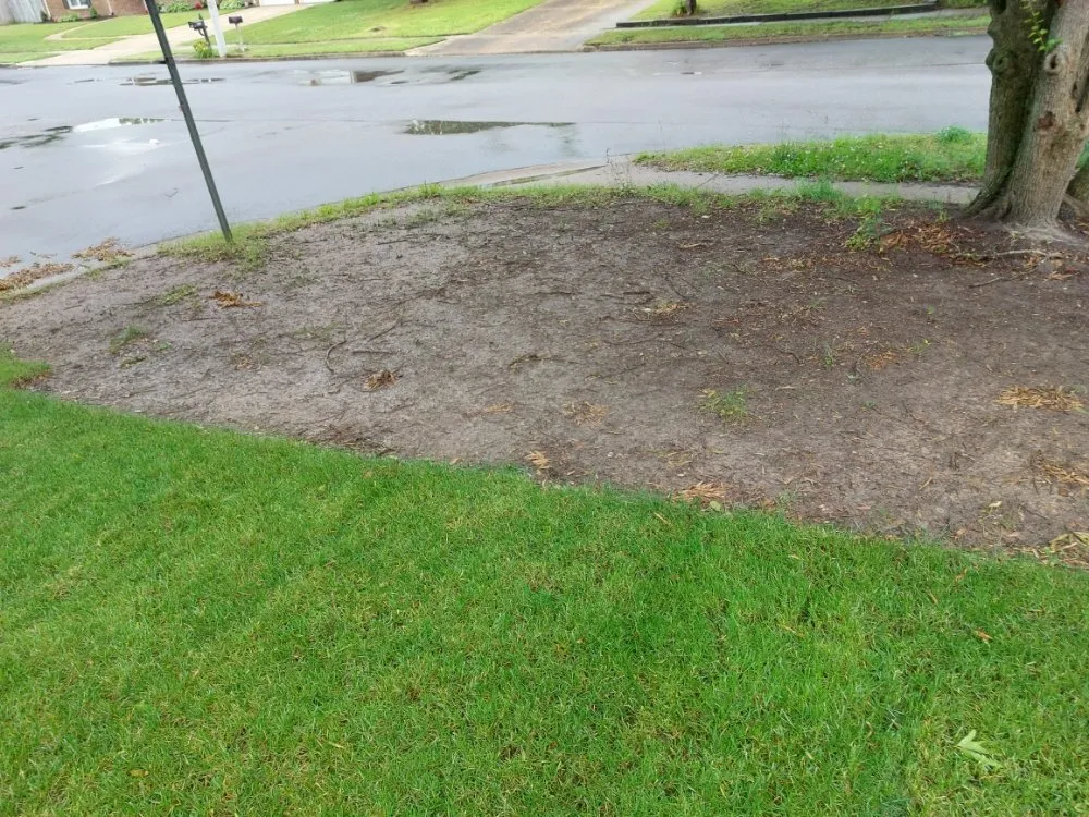 Custom residential landscaping experts serving Virginia Beach, VA - PTW Landscaping