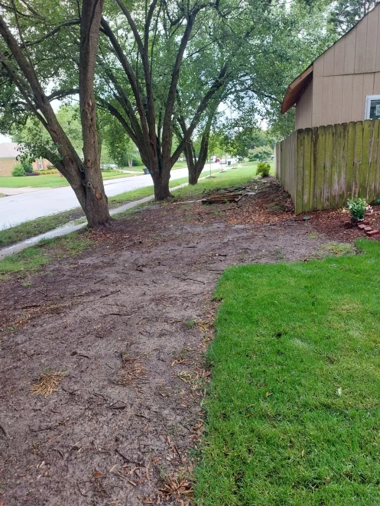 Professional lawn care service in Virginia Beach, VA by PTW Landscaping