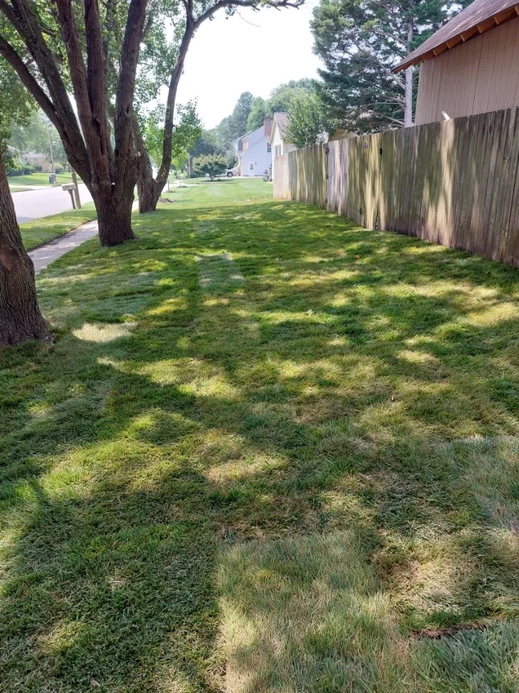 Affordable residential landscaping in Virginia Beach, VA - PTW Landscaping