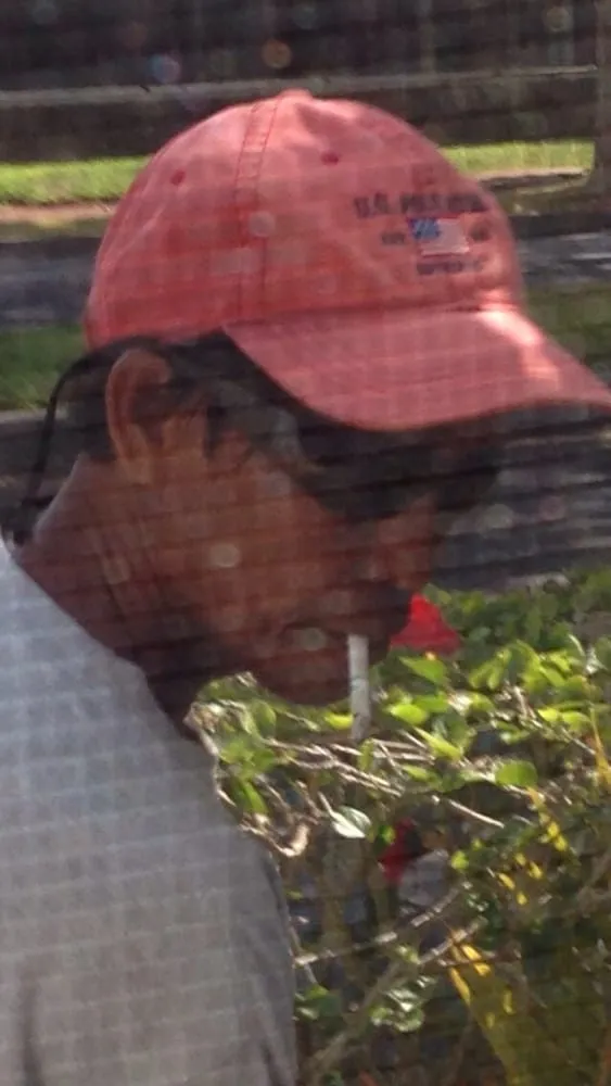 Expert landscaping services for outdoor upgrades in Waipahu, HI by Puanani Landscape Maintenance