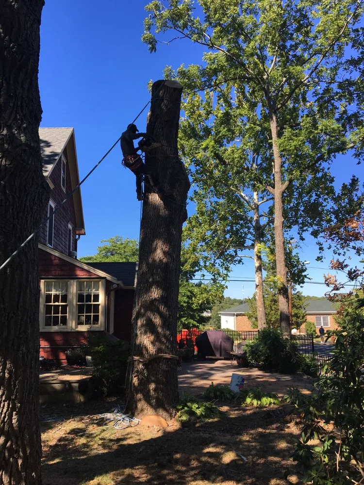 Affordable landscaping services in Howell, NJ - Puebla Tree Service