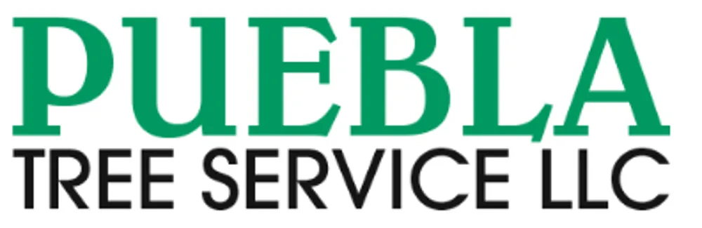 Professional lawn mowing service for outdoor upgrades in Howell, NJ by Puebla Tree Service