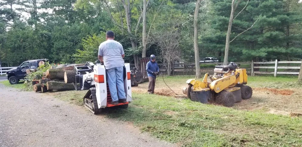 Professional lawn care service for residential properties in Howell, NJ by Puebla Tree Service