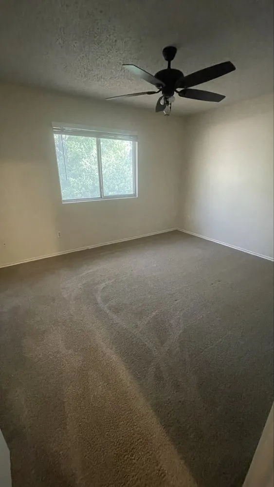 Local lawn care service experts serving Austin, TX - Pug Services