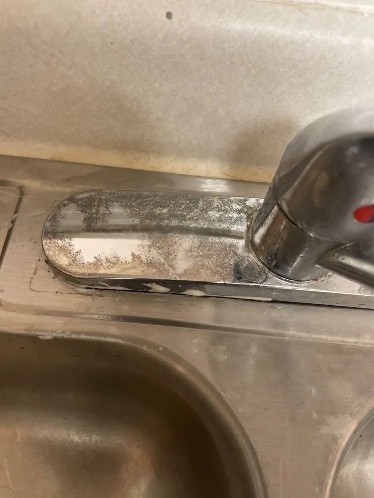 Top-rated garden landscaping for residential properties across Austin, TX - Pug Services