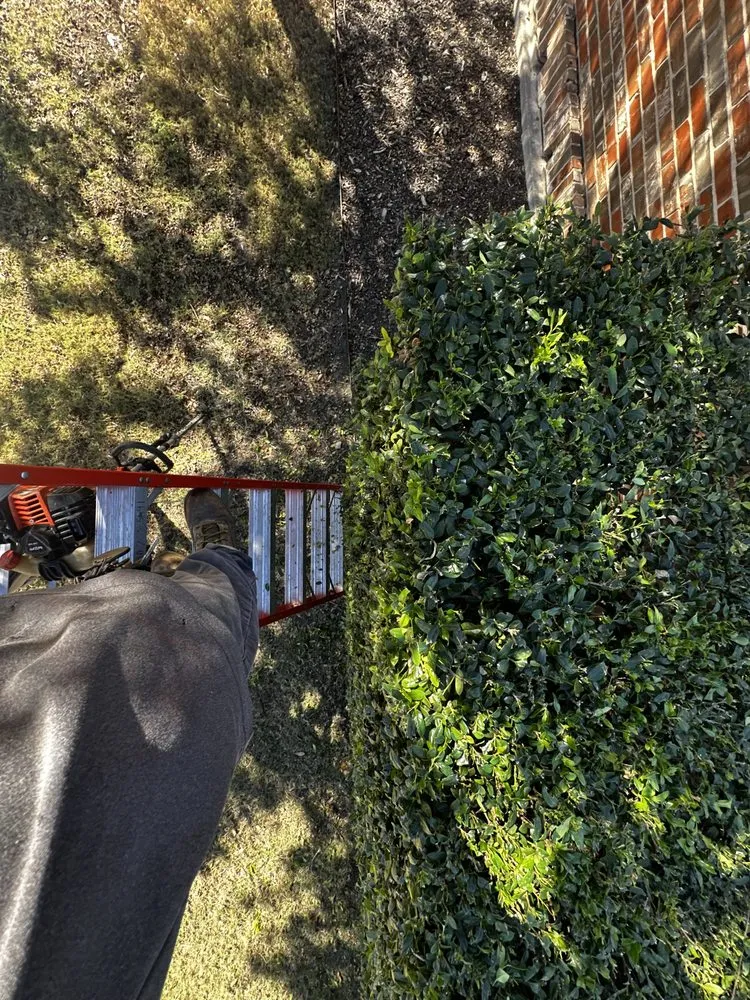 Professional landscaping services in Farmers Branch, TX - Pugas Landcaping