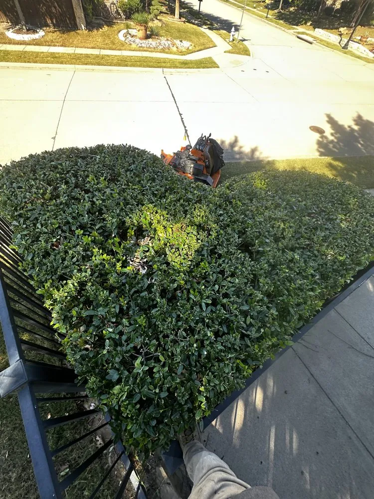 Expert lawn care service for residential properties across Farmers Branch, TX - Pugas Landcaping