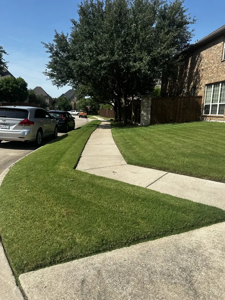 Professional yard maintenance in Farmers Branch, TX - Pugas Landcaping