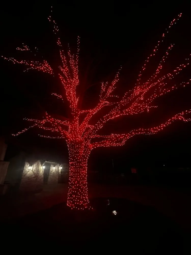 Custom landscape installation in Farmers Branch, TX by Pugas Landcaping