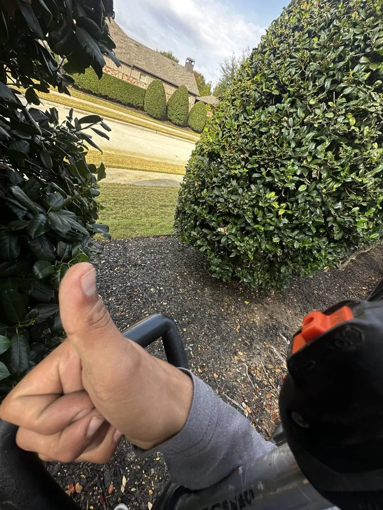 Reliable garden landscaping experts serving Farmers Branch, TX - Pugas Landcaping