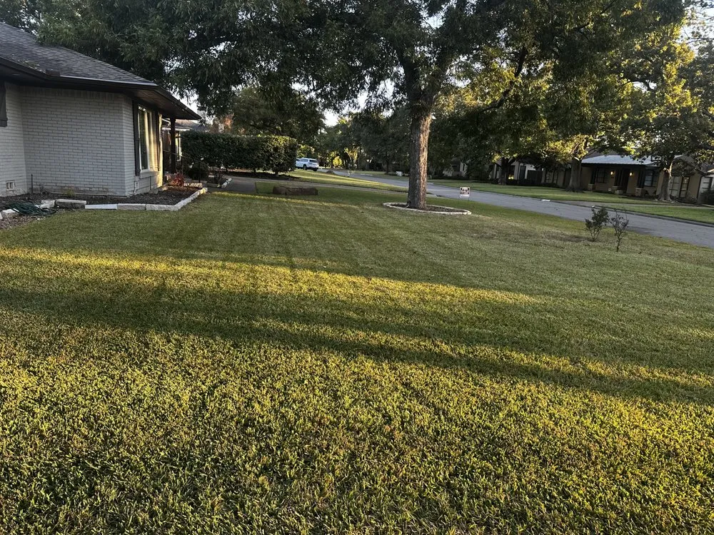 Trusted landscaping services in Farmers Branch, TX - Pugas Landcaping