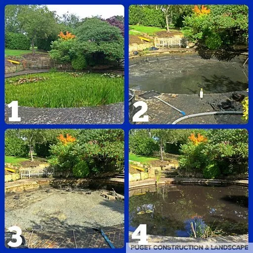 Local yard maintenance experts serving Lynden, WA - Puget Construction & Landscape