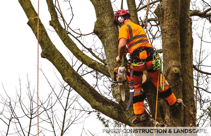 Professional landscape design for year-round maintenance across Lynden, WA - Puget Construction & Landscape