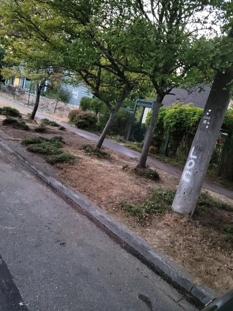 Expert landscape installation in Tacoma, WA - Puget Sound Handyman