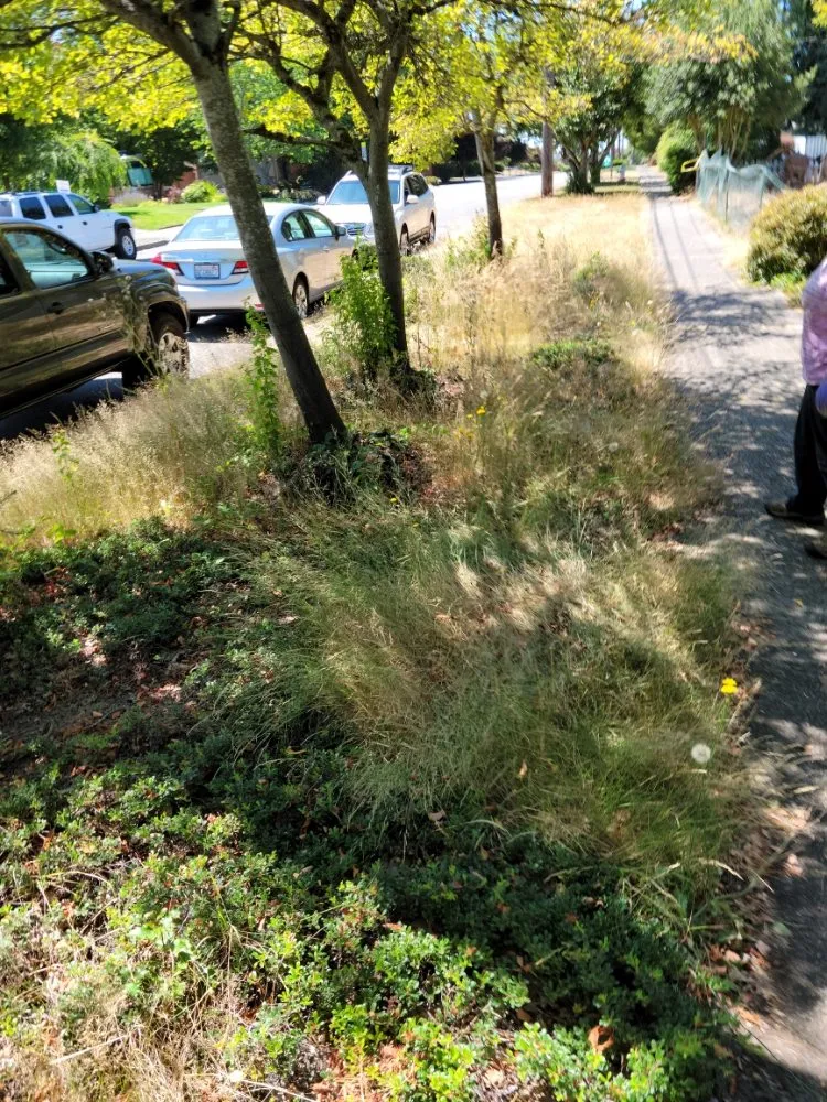 Trusted garden landscaping experts serving Tacoma, WA - Puget Sound Handyman