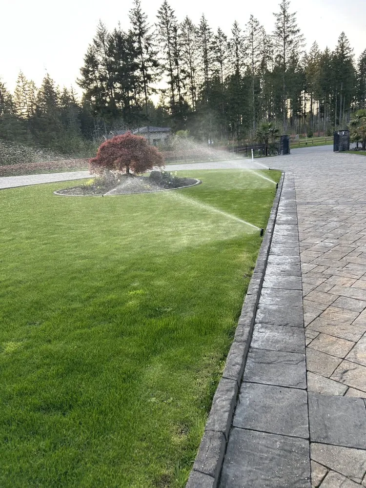 Professional yard cleanup service near you across Lake Stevens, WA - Puget Sound Irrigation, Landscape and Drainage