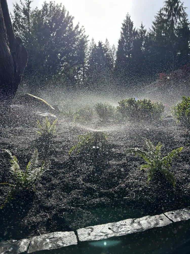 Local yard maintenance in Lake Stevens, WA - Puget Sound Irrigation, Landscape and Drainage
