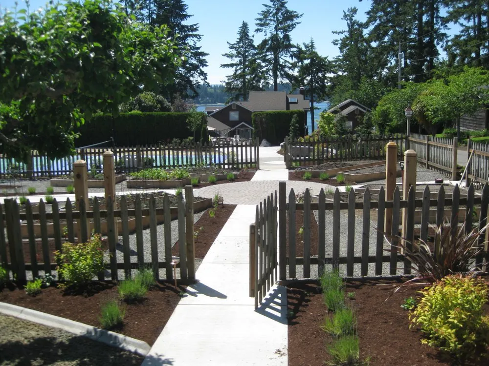 Affordable yard cleanup service near you across Olympia, WA - Puget Sound Landscaping