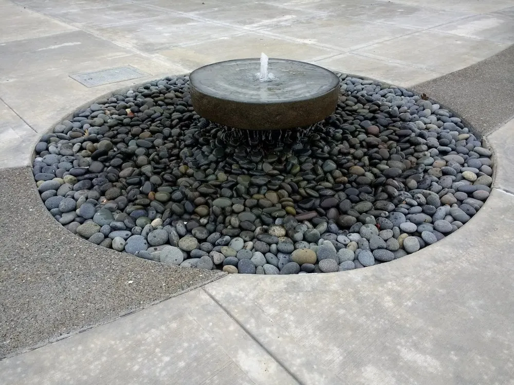 Custom lawn care service experts serving Olympia, WA - Puget Sound Landscaping