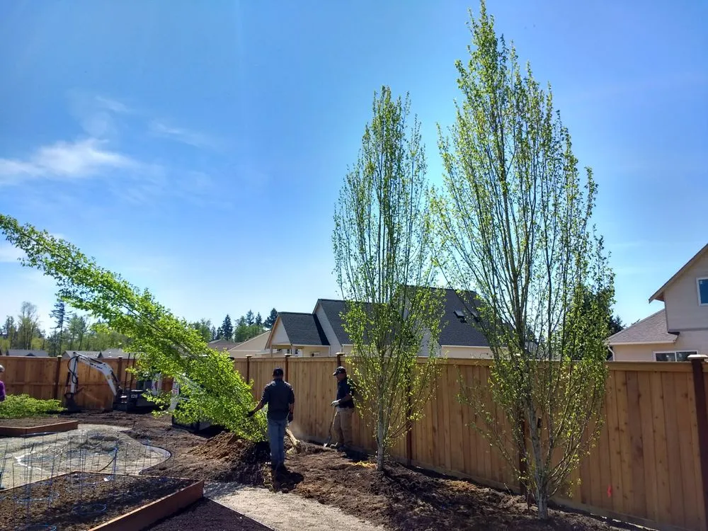 Local landscaping services for beautiful yards across Olympia, WA - Puget Sound Landscaping