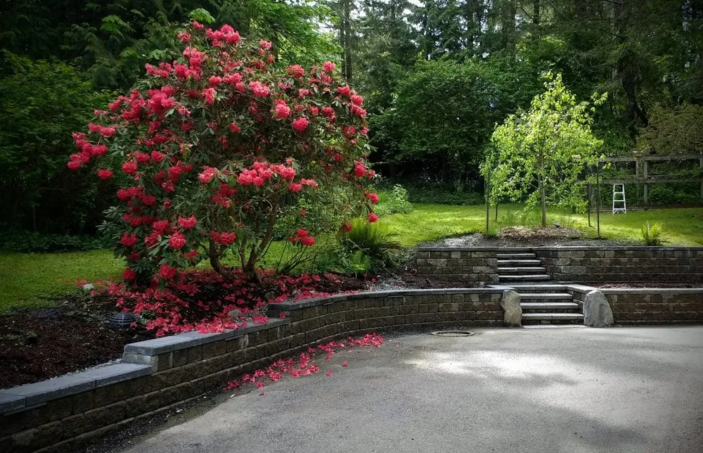 Trusted lawn mowing service in Olympia, WA by Puget Sound Landscaping