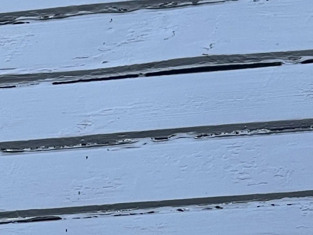 Reliable yard maintenance in Tacoma, WA - Puget Sound Paint & Design