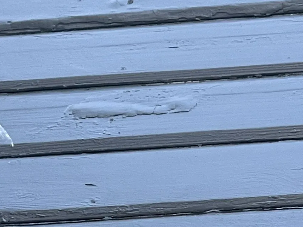 Custom lawn mowing service for residential properties in Tacoma, WA by Puget Sound Paint & Design