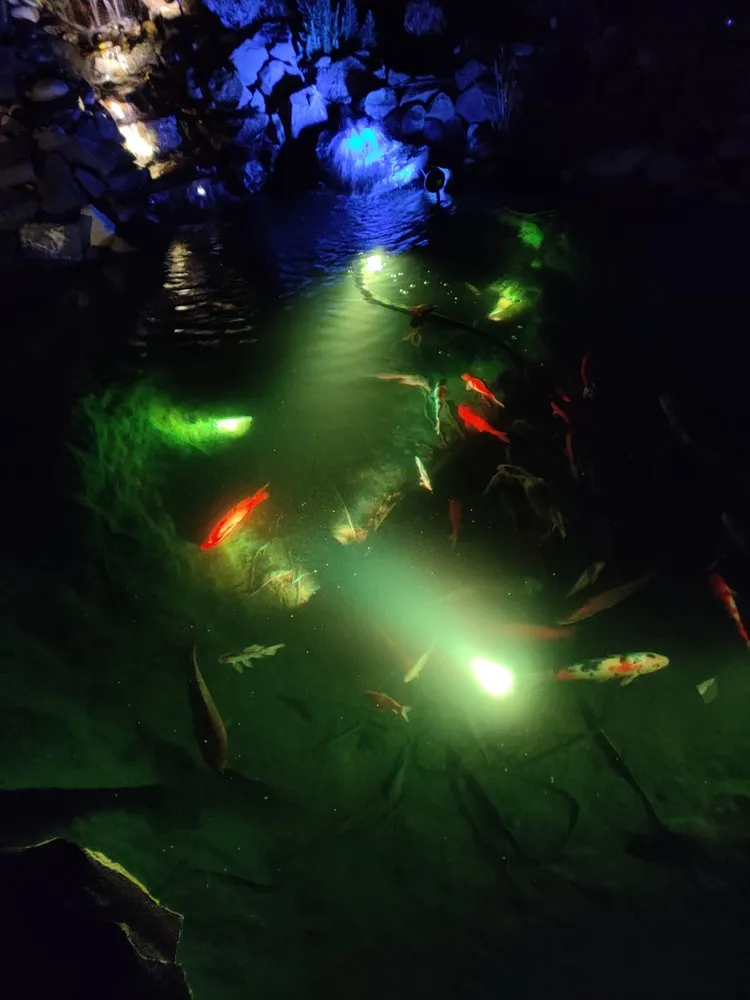 Trusted landscape installation for outdoor upgrades across Seattle, WA - Puget Sound Ponds