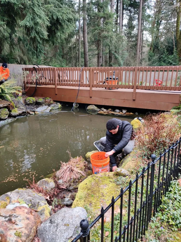 Custom landscape design for residential properties across Seattle, WA - Puget Sound Ponds