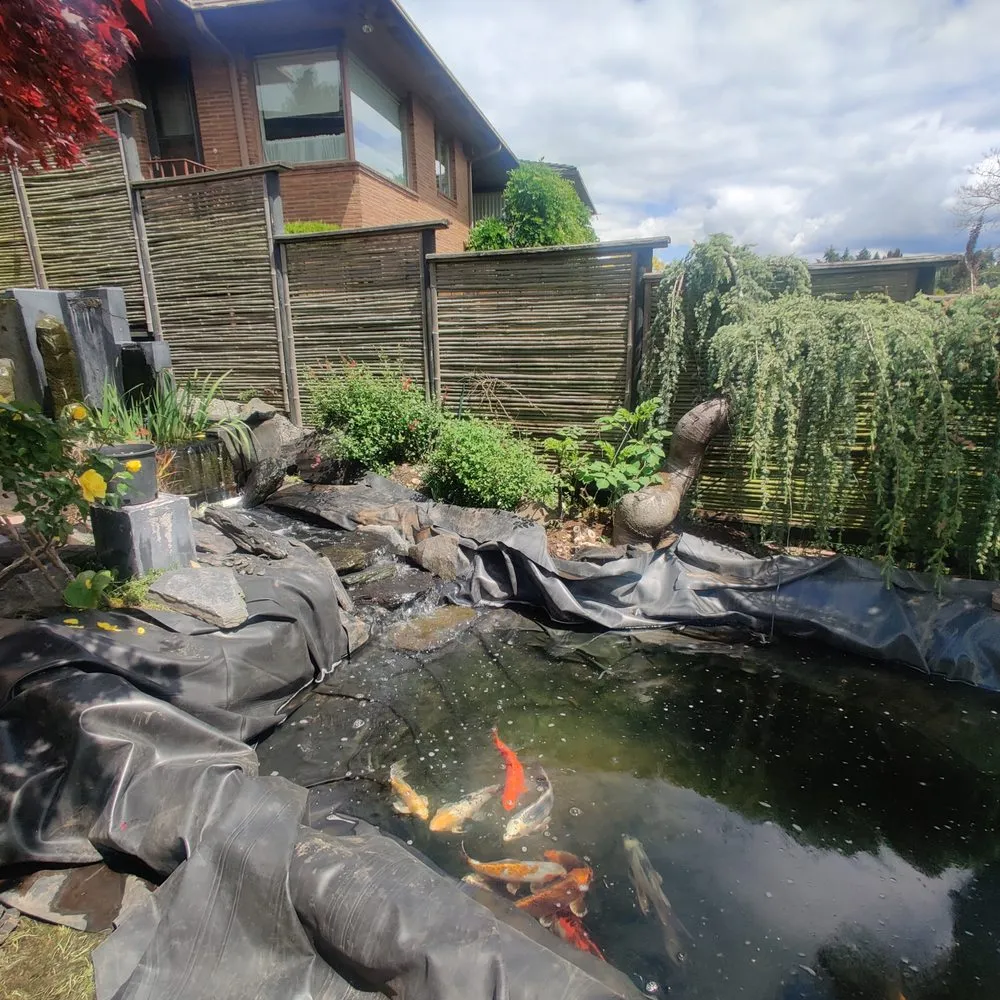 Reliable yard cleanup service experts serving Seattle, WA - Puget Sound Ponds