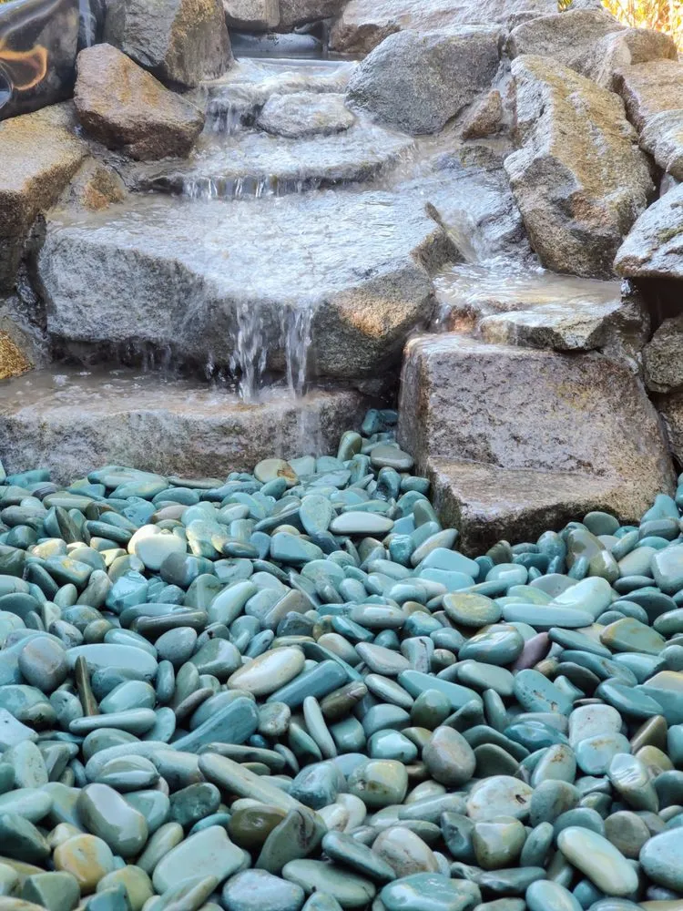 Expert yard cleanup service for beautiful yards in Seattle, WA by Puget Sound Ponds