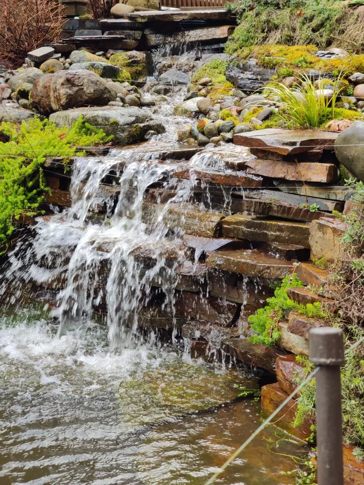 Custom lawn care service for residential properties in Seattle, WA by Puget Sound Ponds